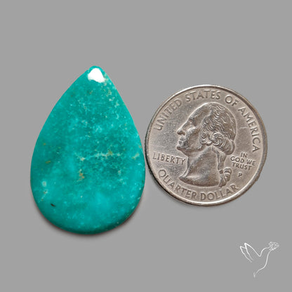 Rare Arizona Patogonia Turquoise Cabochon