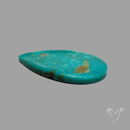 Rare Arizona Patogonia Turquoise Cabochon