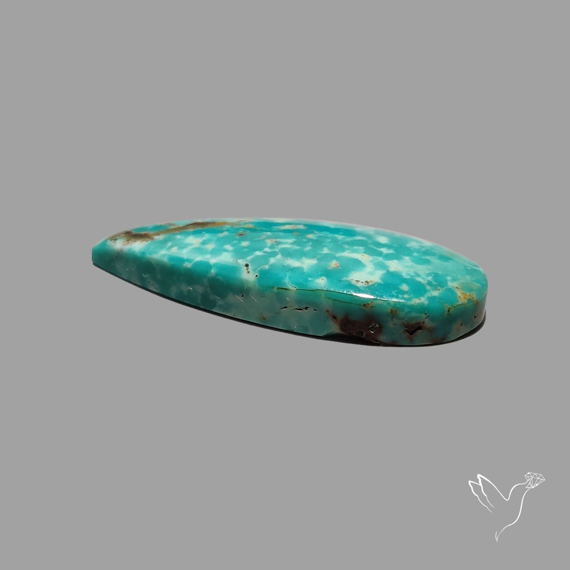Rare Arizona Patogonia Turquoise Cabochon