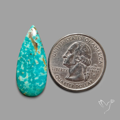 Rare Arizona Patogonia Turquoise Cabochon
