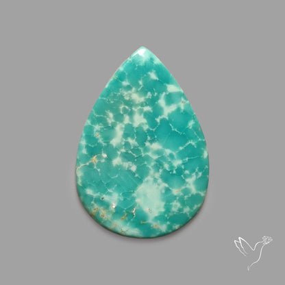 Rare Arizona Patogonia Turquoise Cabochon
