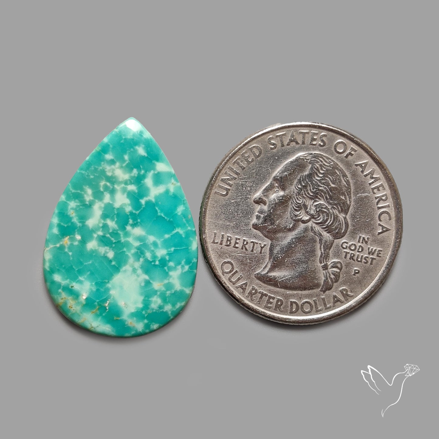 Rare Arizona Patogonia Turquoise Cabochon