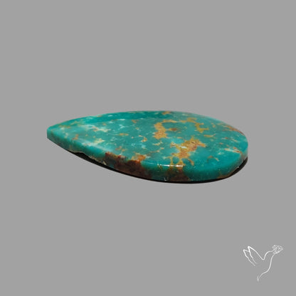 Rare Arizona Patogonia Turquoise Cabochon