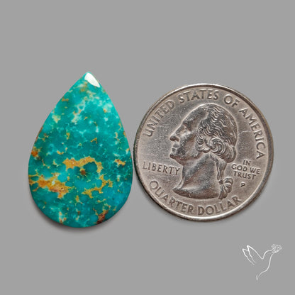 Rare Arizona Patogonia Turquoise Cabochon