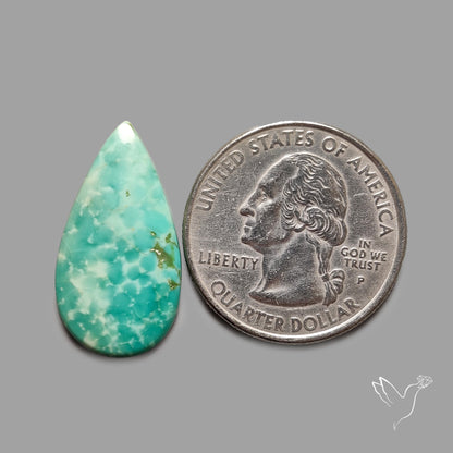 Rare Arizona Patogonia Turquoise Cabochon
