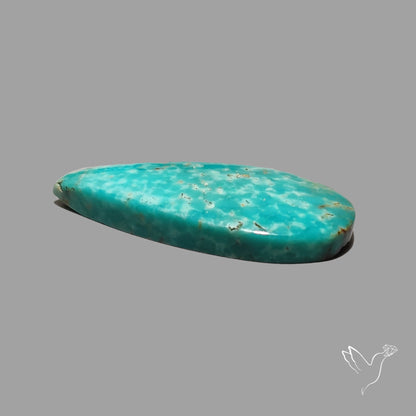 Rare Arizona Patogonia Turquoise Cabochon