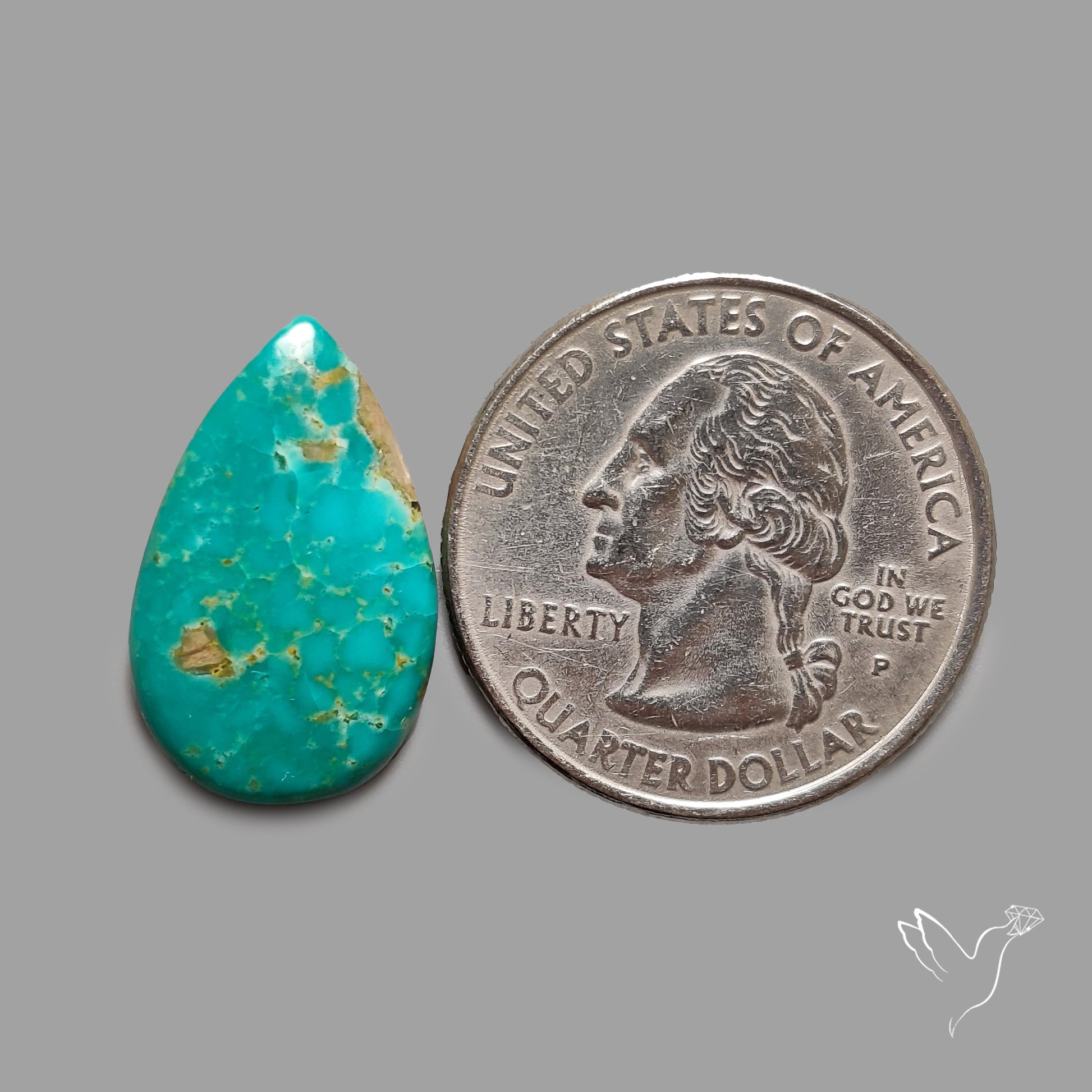 Rare Arizona Patogonia Turquoise Cabochon
