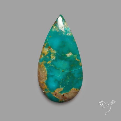 Rare Arizona Patogonia Turquoise Cabochon