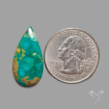 Rare Arizona Patogonia Turquoise Cabochon