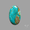 Rare Arizona Patogonia Turquoise Cabochon