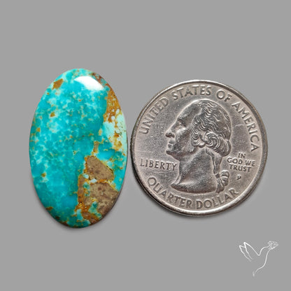 Rare Arizona Patogonia Turquoise Cabochon