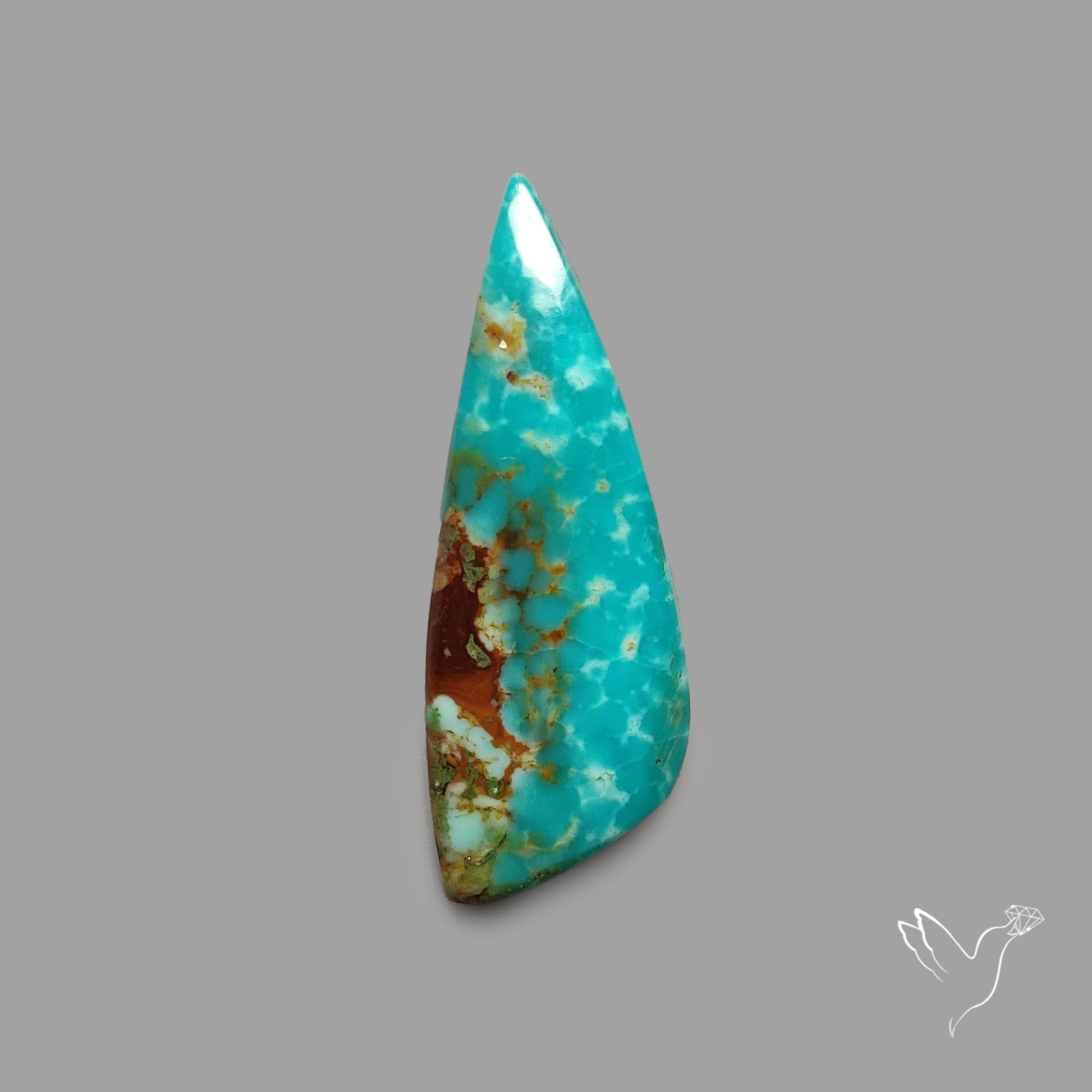 Rare Arizona Patogonia Turquoise Cabochon