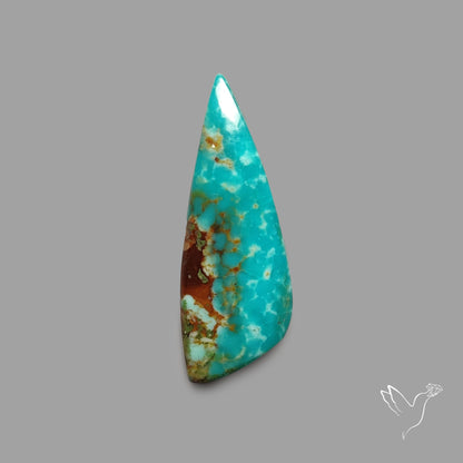 Rare Arizona Patogonia Turquoise Cabochon