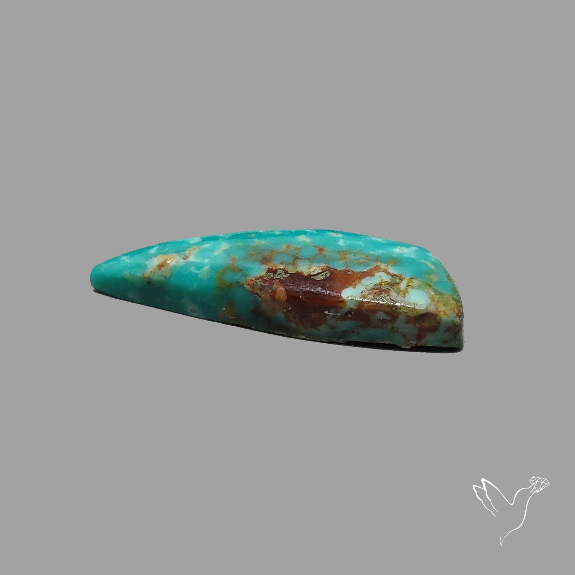 Rare Arizona Patogonia Turquoise Cabochon