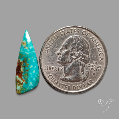 Rare Arizona Patogonia Turquoise Cabochon