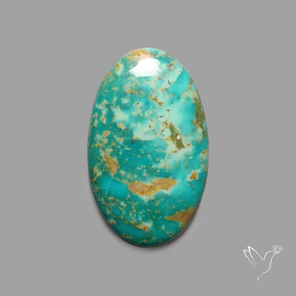 Rare Arizona Patogonia Turquoise Cabochon