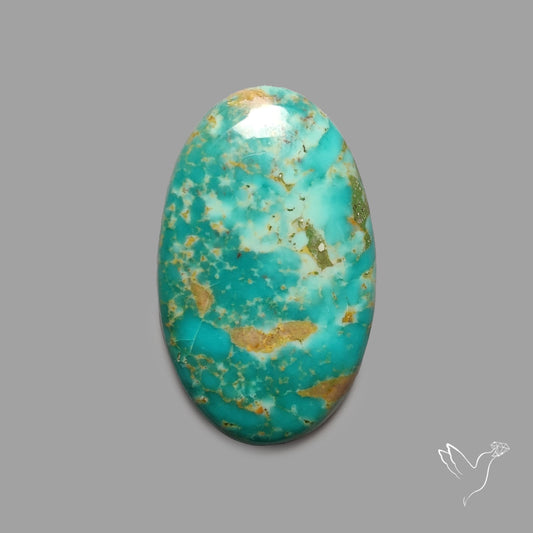 Rare Arizona Patogonia Turquoise Cabochon