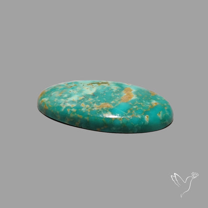 Rare Arizona Patogonia Turquoise Cabochon