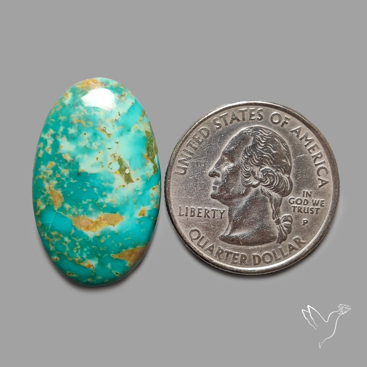 Rare Arizona Patogonia Turquoise Cabochon