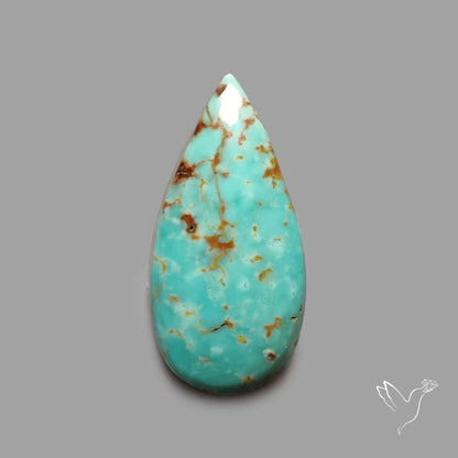 Rare Arizona Patogonia Turquoise Cabochon