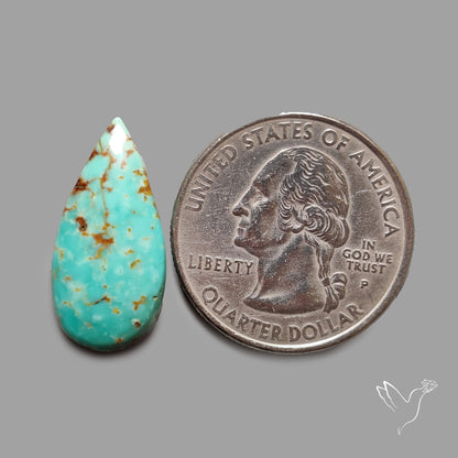 Rare Arizona Patogonia Turquoise Cabochon