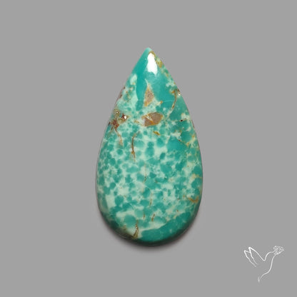 Rare Arizona Patogonia Turquoise Cabochon