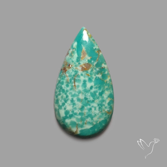 Rare Arizona Patogonia Turquoise Cabochon