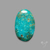 Rare Arizona Patogonia Turquoise Cabochon