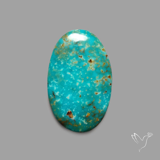 Rare Arizona Patogonia Turquoise Cabochon