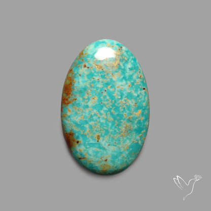 Rare Arizona Patogonia Turquoise Cabochon