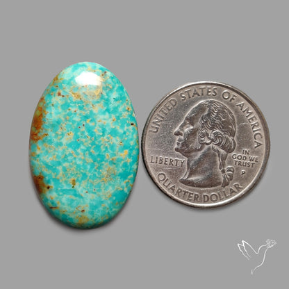 Rare Arizona Patogonia Turquoise Cabochon
