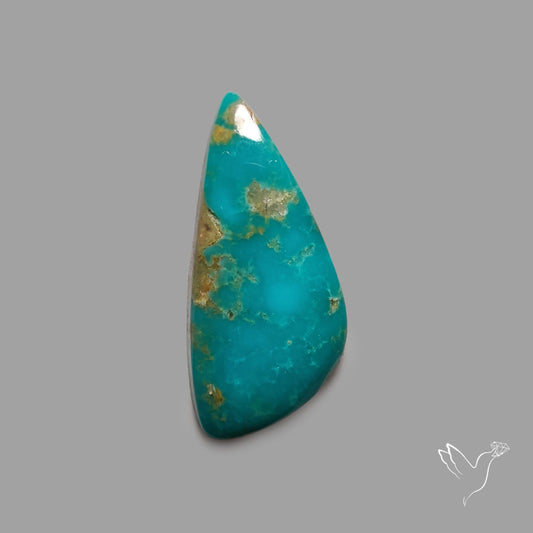 Rare Arizona Patogonia Turquoise Cabochon Deep Blue