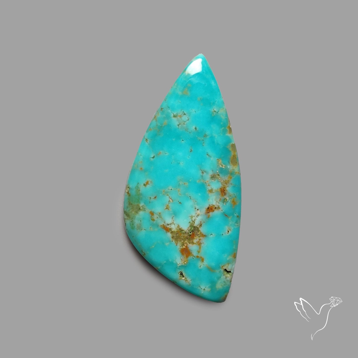 Rare Arizona Patogonia Turquoise Cabochon