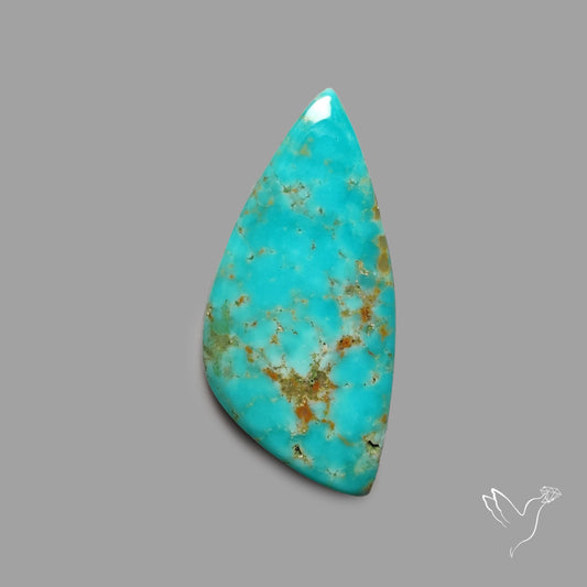 Rare Arizona Patogonia Turquoise Cabochon