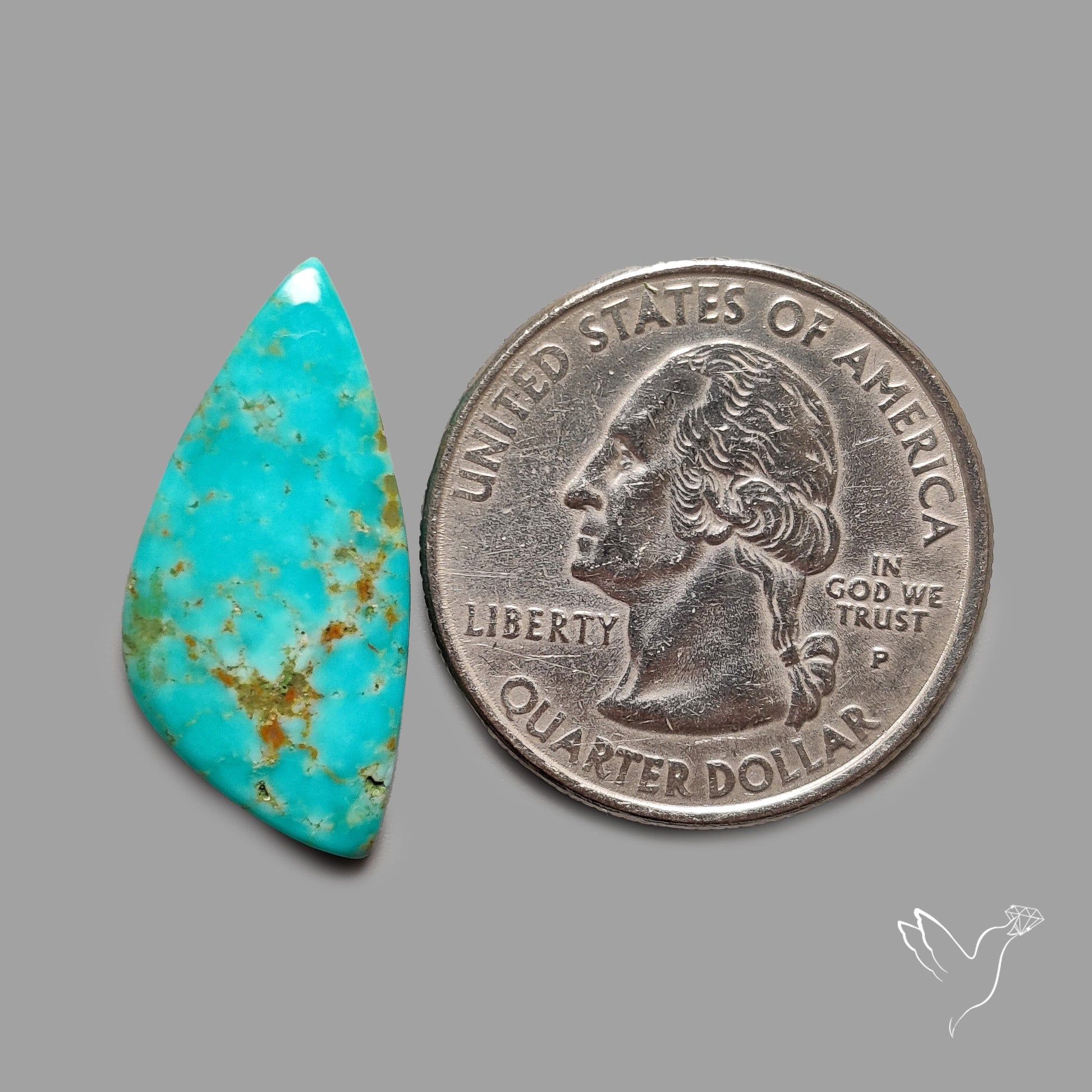 Rare Arizona Patogonia Turquoise Cabochon