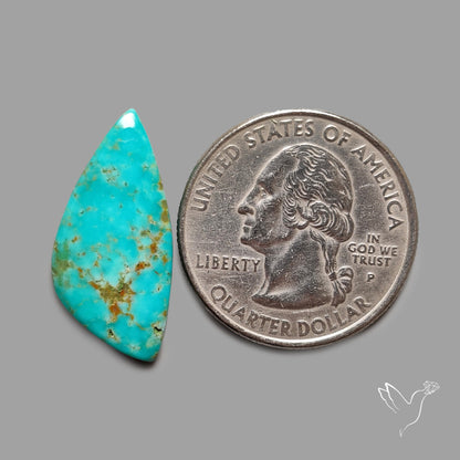 Rare Arizona Patogonia Turquoise Cabochon