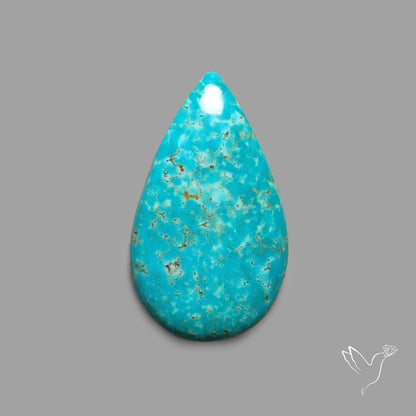 Rare Arizona Patogonia Turquoise Cabochon