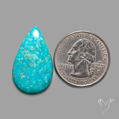 Rare Arizona Patogonia Turquoise Cabochon