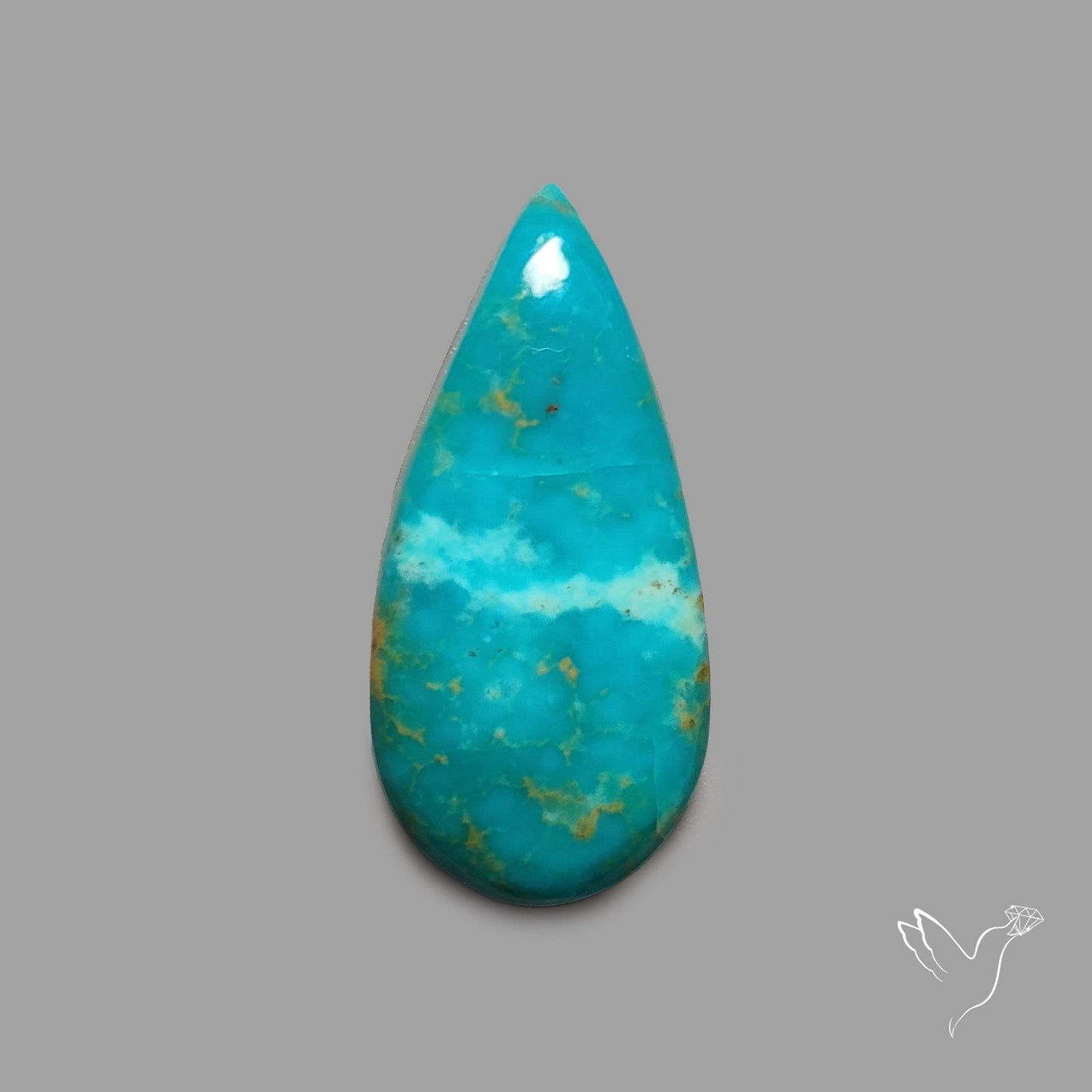 Rare Arizona Patogonia Turquoise Cabochon