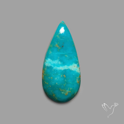 Rare Arizona Patogonia Turquoise Cabochon