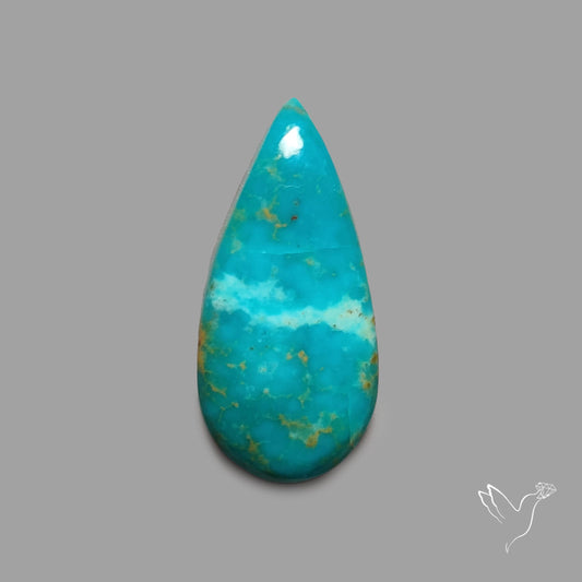 Rare Arizona Patogonia Turquoise Cabochon