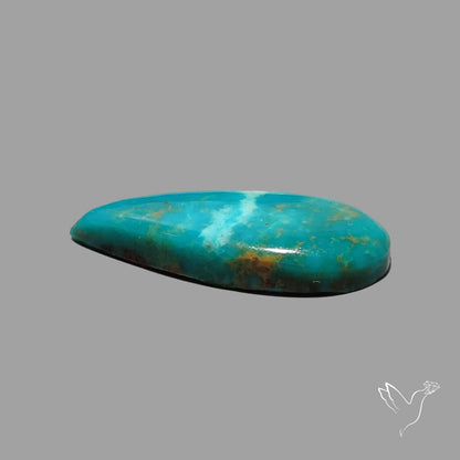 Rare Arizona Patogonia Turquoise Cabochon