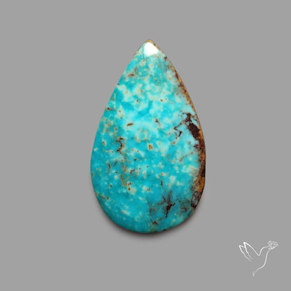 Rare Arizona Patogonia Turquoise Cabochon