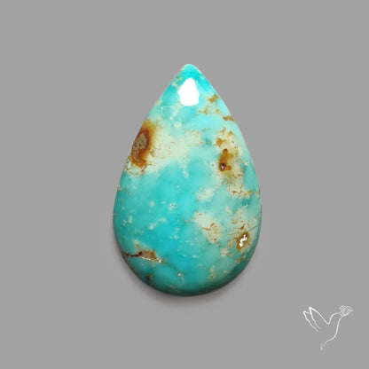Rare Arizona Patogonia Turquoise Cabochon