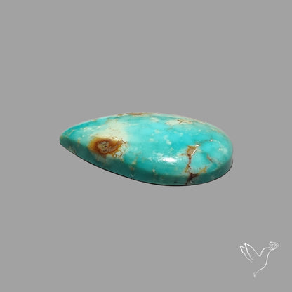 Rare Arizona Patogonia Turquoise Cabochon