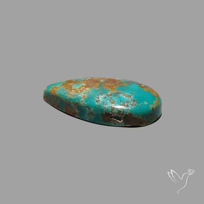 Rare Arizona Patogonia Turquoise Cabochon