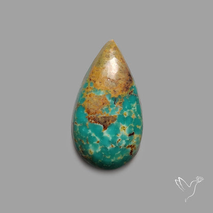 Rare Arizona Patogonia Turquoise Cabochon