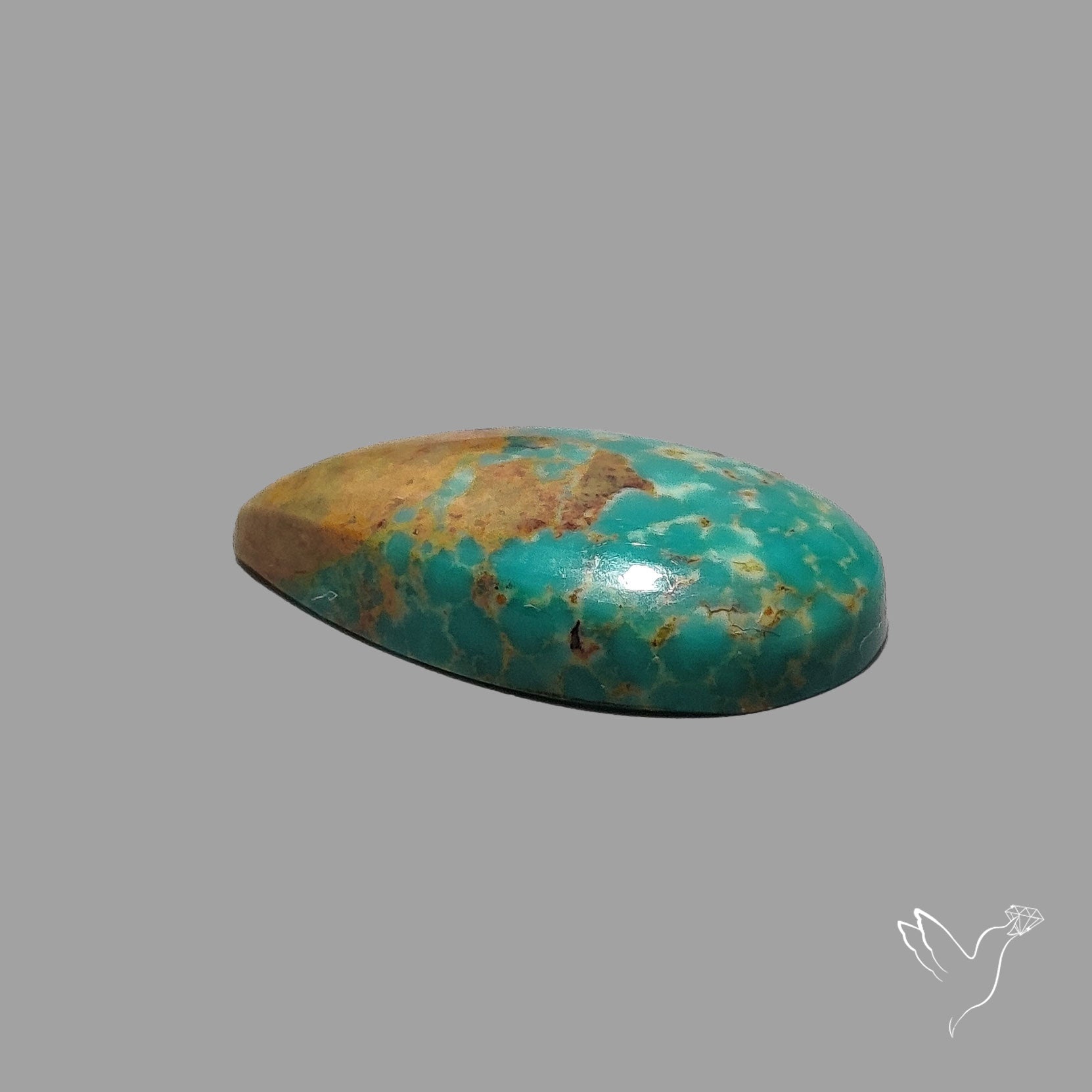 Rare Arizona Patogonia Turquoise Cabochon