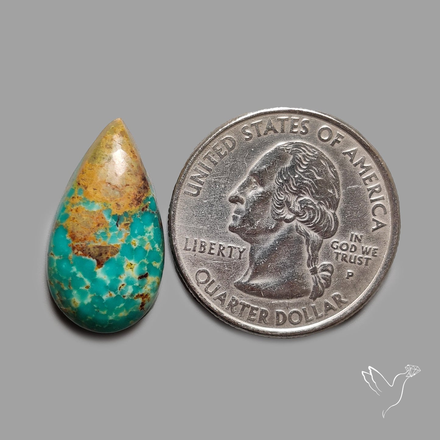 Rare Arizona Patogonia Turquoise Cabochon