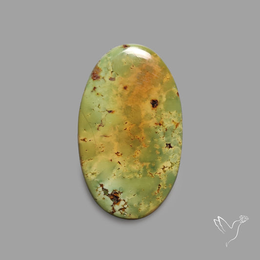 Rare Arizona Patogonia Turquoise Cabochon
